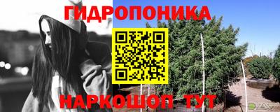 соль ск Бийск