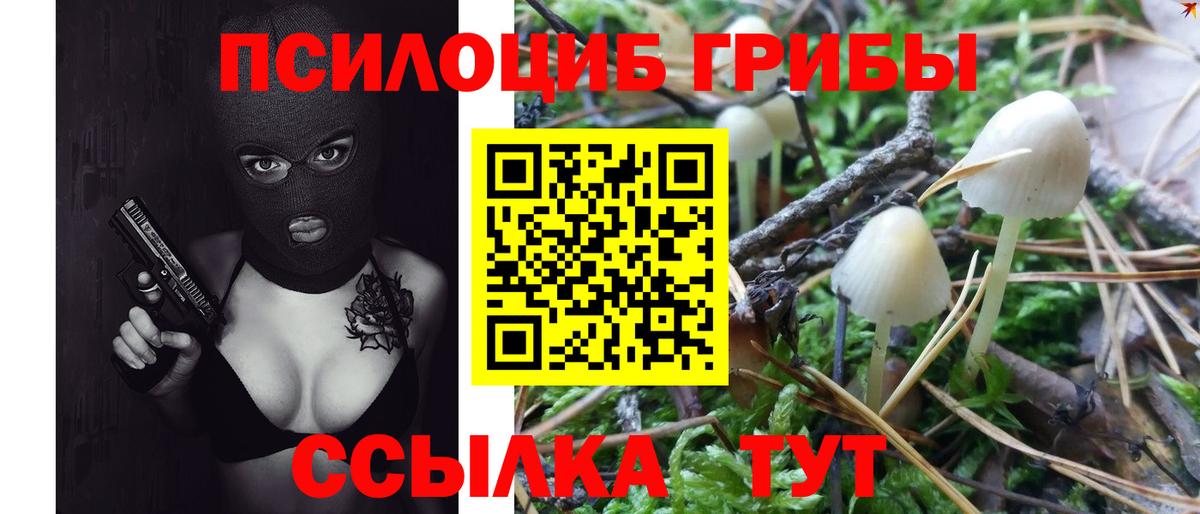 Галлюциногенные грибы мицелий  где можно купить наркотик  Вышний Волочёк  Галлюциногенные грибы мицелий  Вход с VPN 