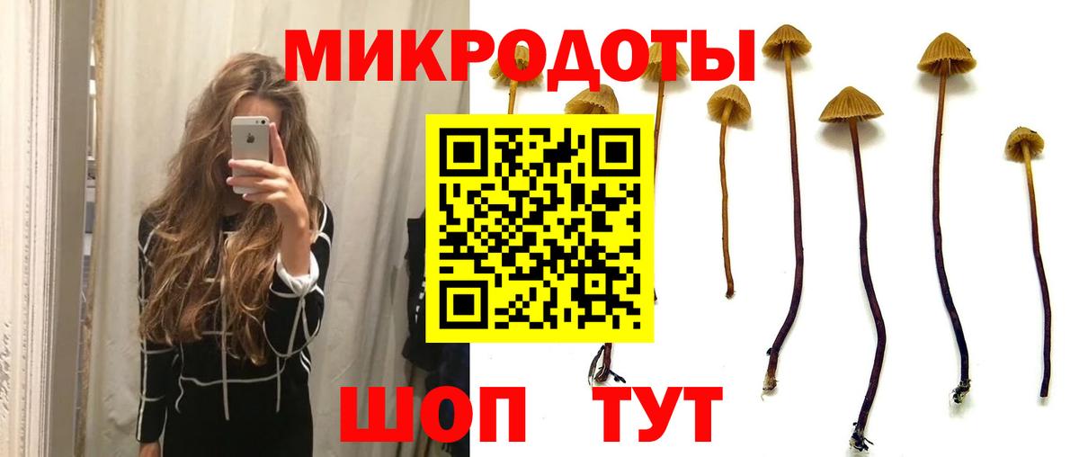 Галлюциногенные грибы Cubensis Вышний Волочёк